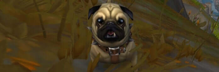 10 Most Annoying MMO PUG Archetypes Every Player Dreads