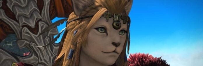 Final Fantasy XIV Roleplay Community Reels as Legal Action Halts Popular Cosmetic Mod Tool